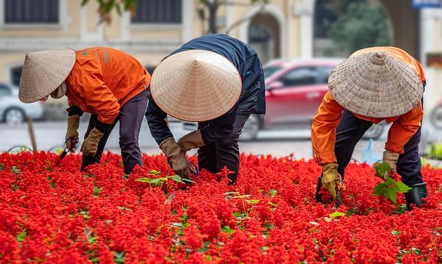 Small Space, Big Style: Design Tips ‍for‍ Urban Gardeners