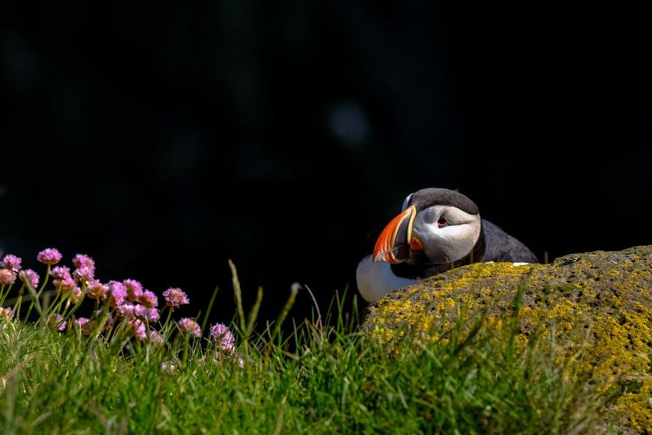 Feathered Friends: Tips for Attracting and Supporting Birds in Your Garden