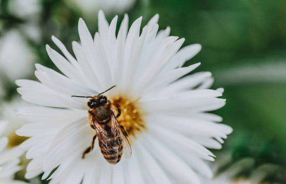 Bee Hotels and Bug Bungalows: DIY Projects to Provide Shelter for Garden Wildlife